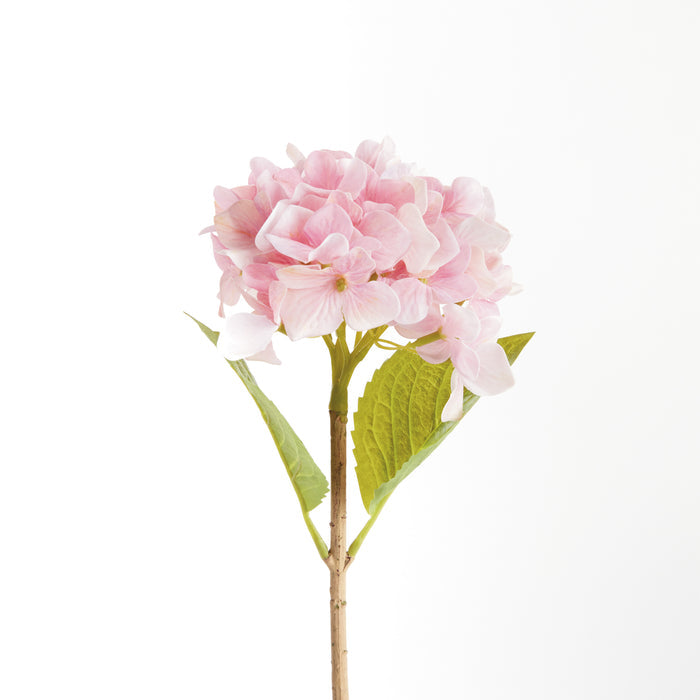 Hydrangea Stems 18", Set Of 6 - View 2