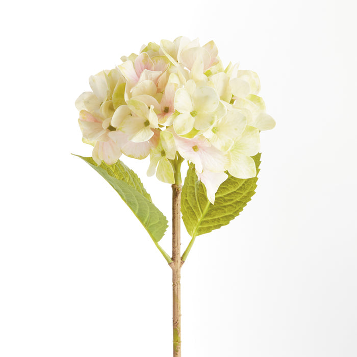 Hydrangea Stems 18", Set Of 6 - View 2