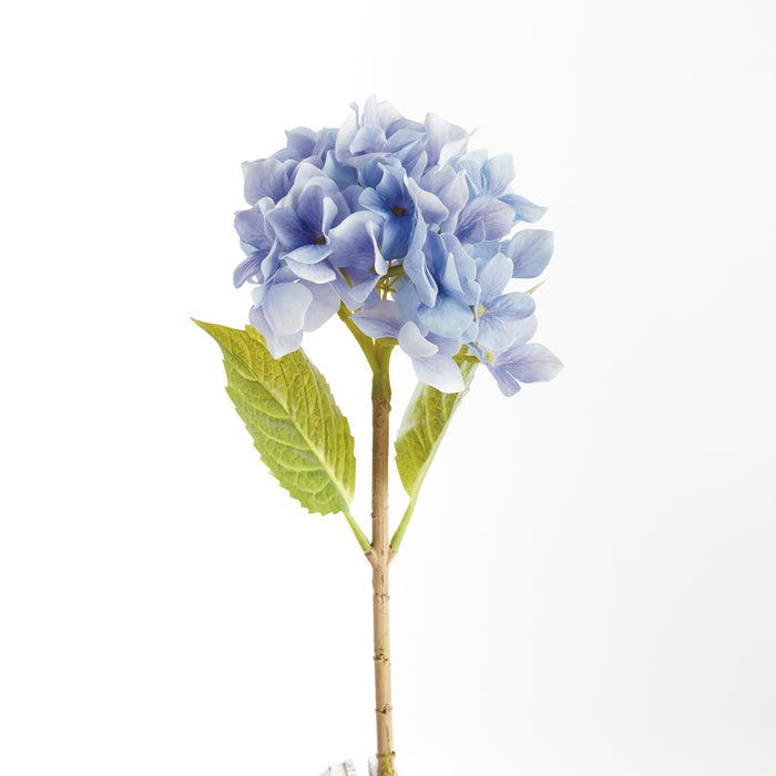 Hydrangea Stems 18", Set Of 6 - View 2