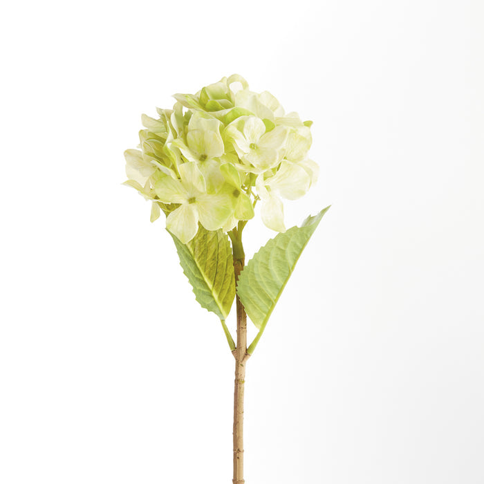 Hydrangea Stems 18", Set Of 6 - View 2