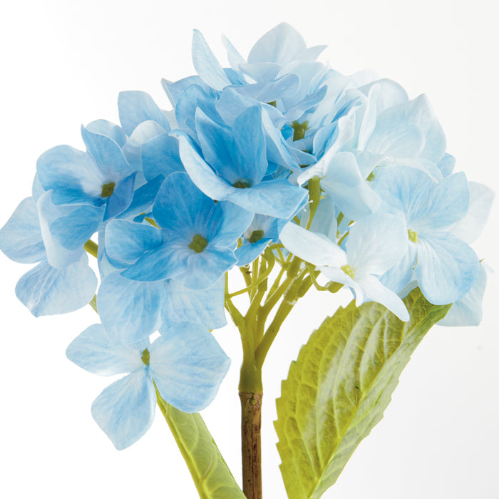 Hydrangea Stems 18", Set Of 6 - View 2