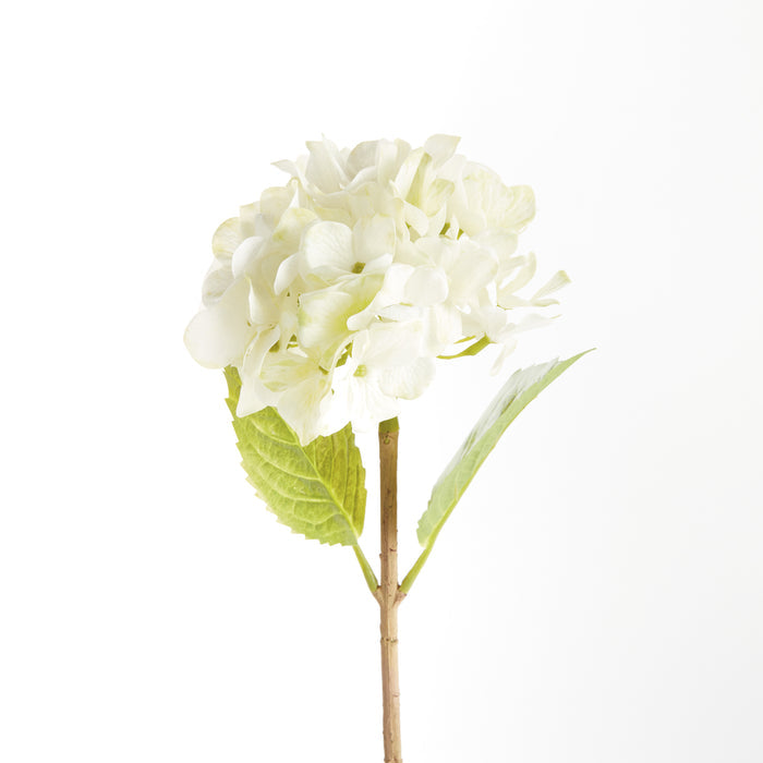 Hydrangea Stems 18", Set Of 6 - View 2