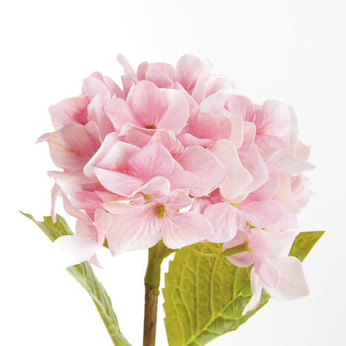 Hydrangea Stems 18", Set Of 6 - View 3