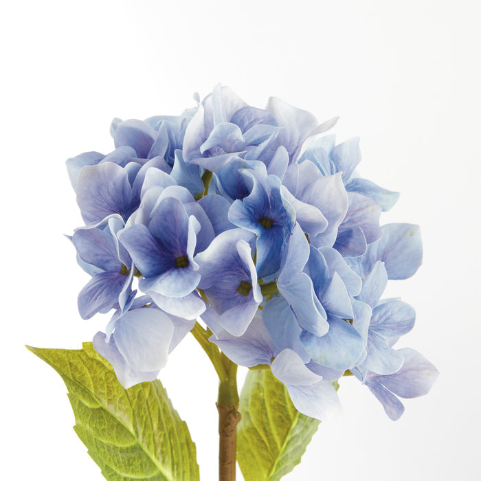 Hydrangea Stems 18", Set Of 6 - View 3