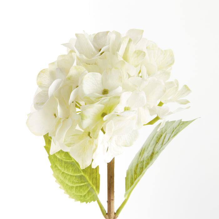 Hydrangea Stems 18", Set Of 6 - View 3