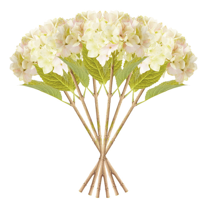 Hydrangea Stems 18", Set Of 6 - View 4