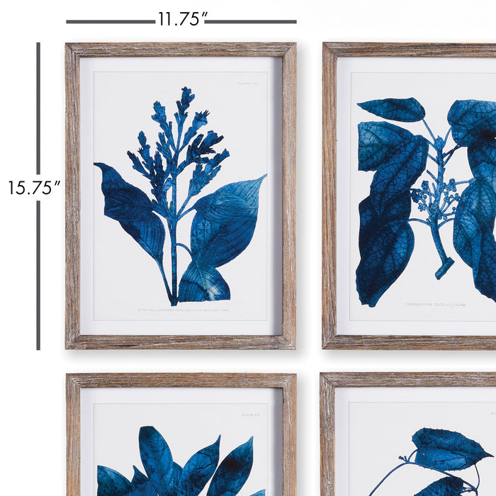 Indigo Botanicals, Set Of 4 - View 2