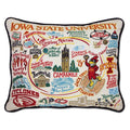 IOWA STATE UNIVERSITY PILLOW BY CATSTUDIO - A. Dodson's