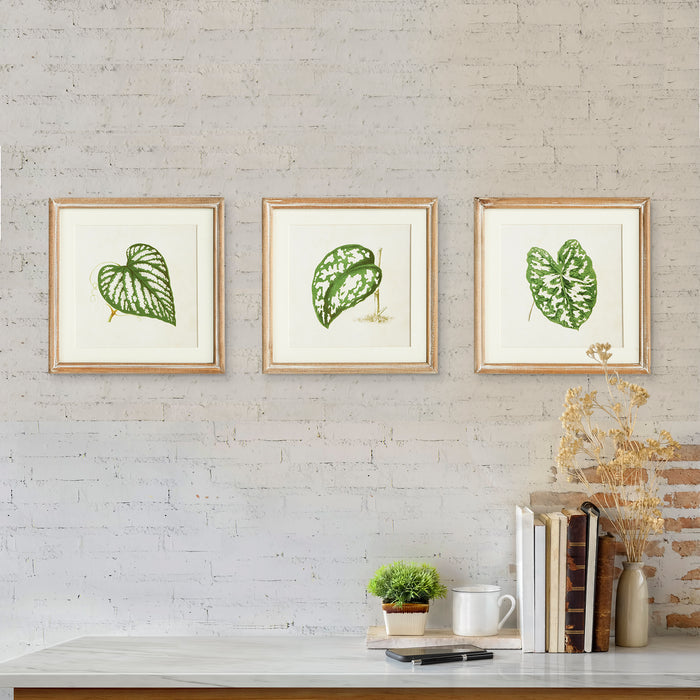 Leaf Cuttings Petite Prints, Set Of 3 - View 4