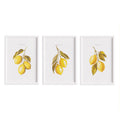 Lemon Cuttings Study, Set Of 3