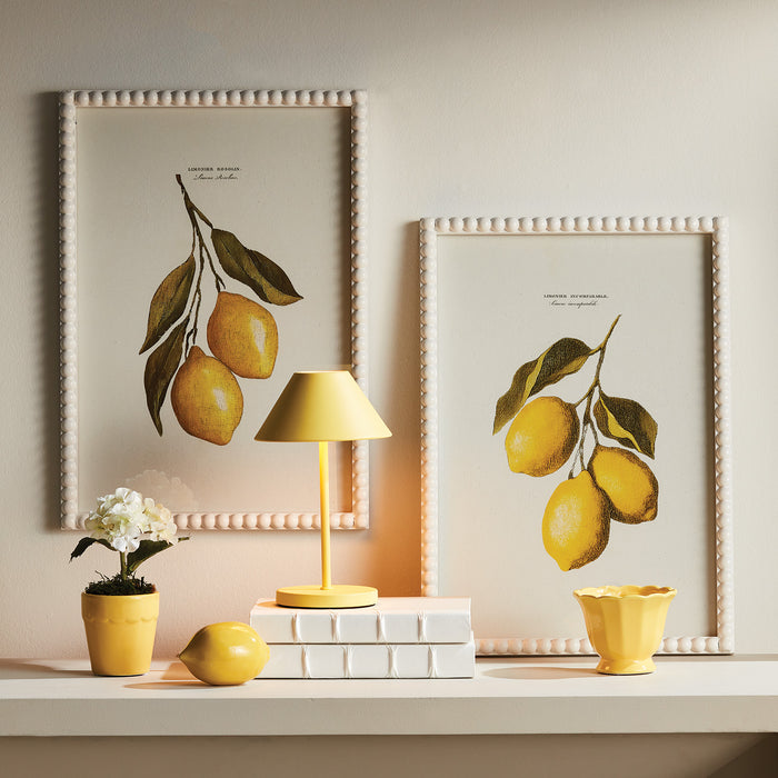 Lemon Cuttings Study, Set Of 3 - View 3