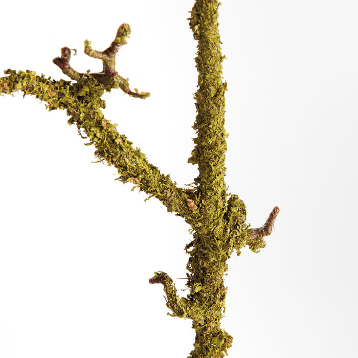 Lichen Branches 28", Set Of 2 - View 2