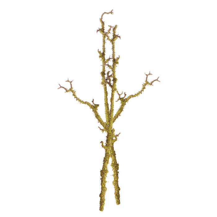 Lichen Branches 28", Set Of 2 - View 3