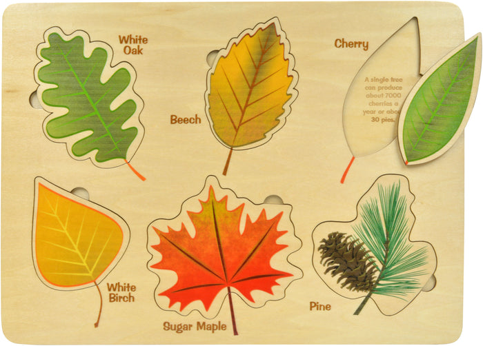 Lift & Learn Leaves Puzzle - A. Dodson's
