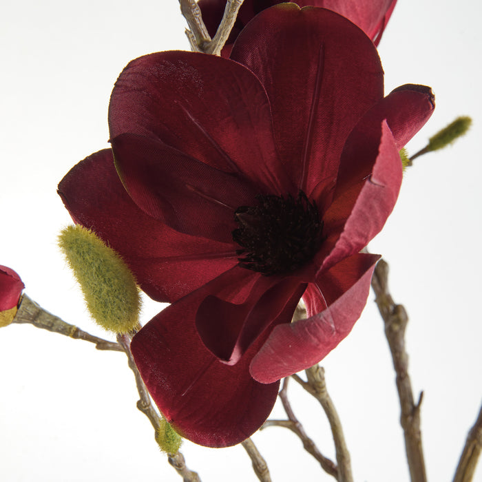 Magnolia Branches 34" St/4 - View 3