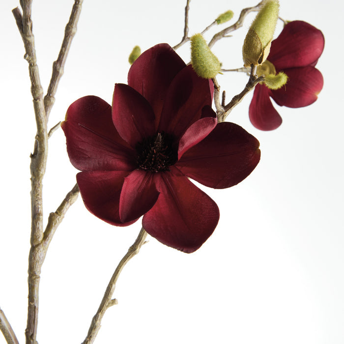 Magnolia Branches 50" St/2 - View 3