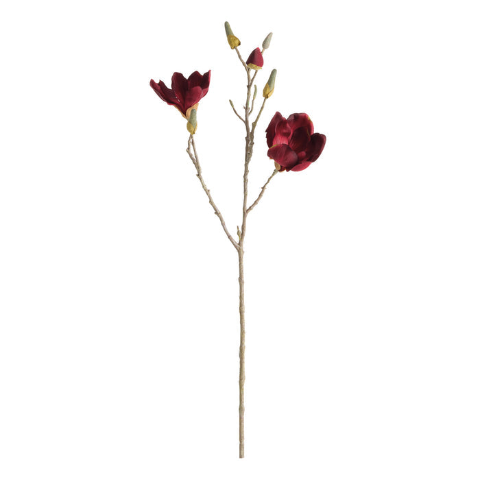 Magnolia Stems 27" St/4