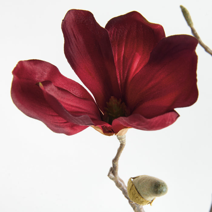 Magnolia Stems 27" St/4 - View 3