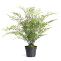 Maidenhair Drop-In 30"