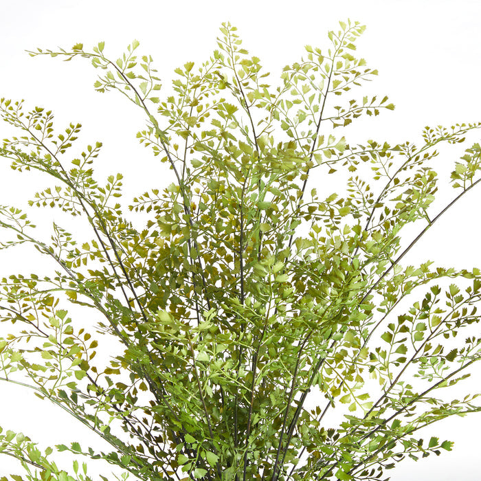Maidenhair Drop-In 30" - View 3