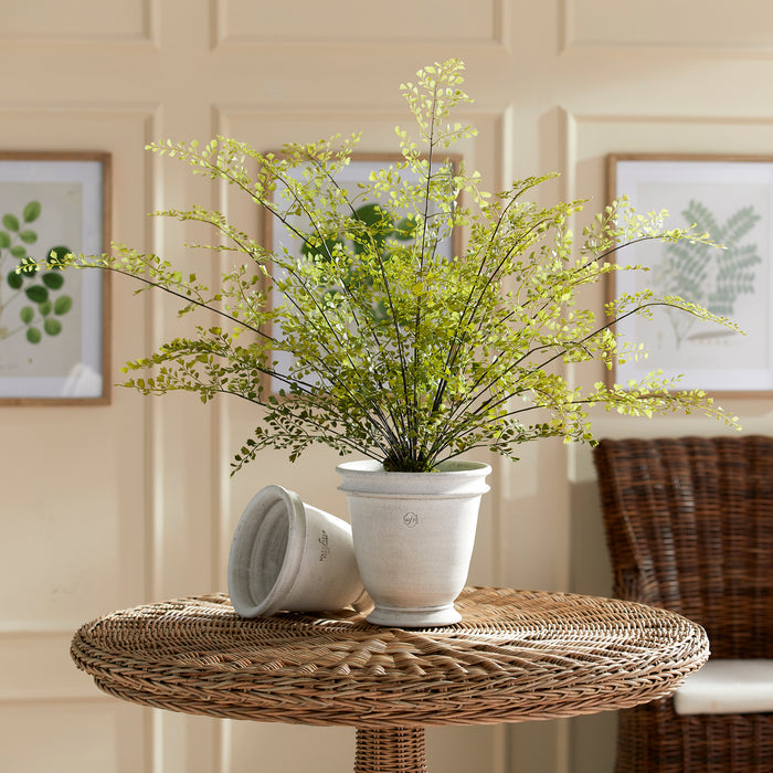 Maidenhair Drop-In 30" - View 4
