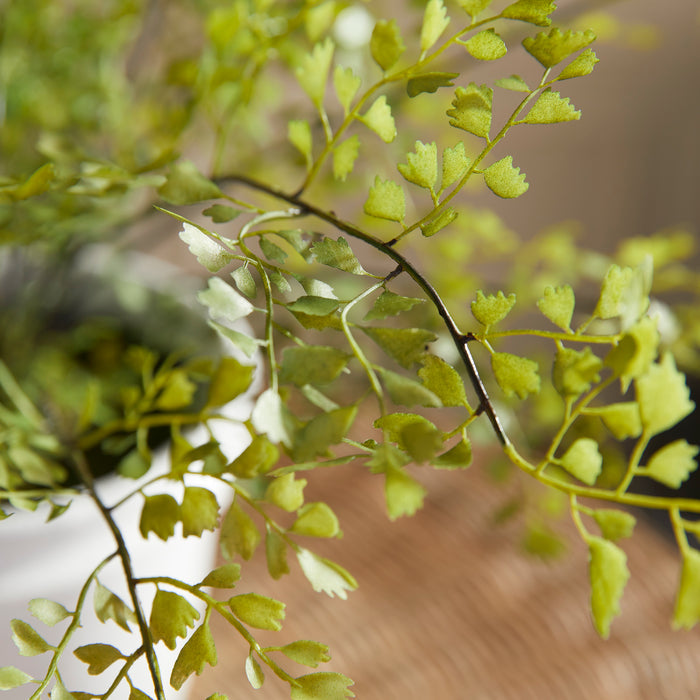 Maidenhair Drop-In 30" - View 7