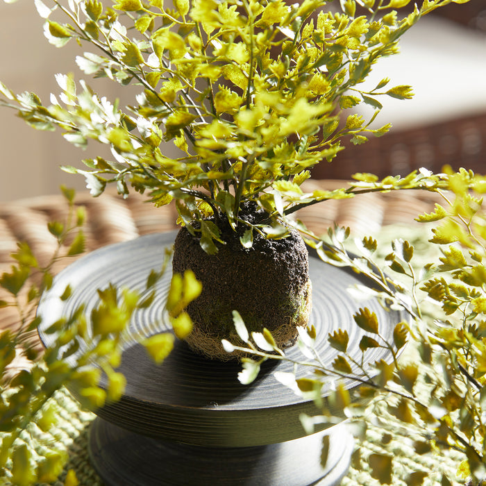 Maidenhair Drop-Ins, Set Of 3 - View 3