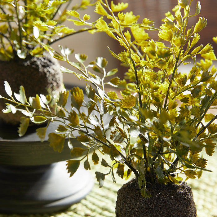 Maidenhair Drop-Ins, Set Of 3 - View 4