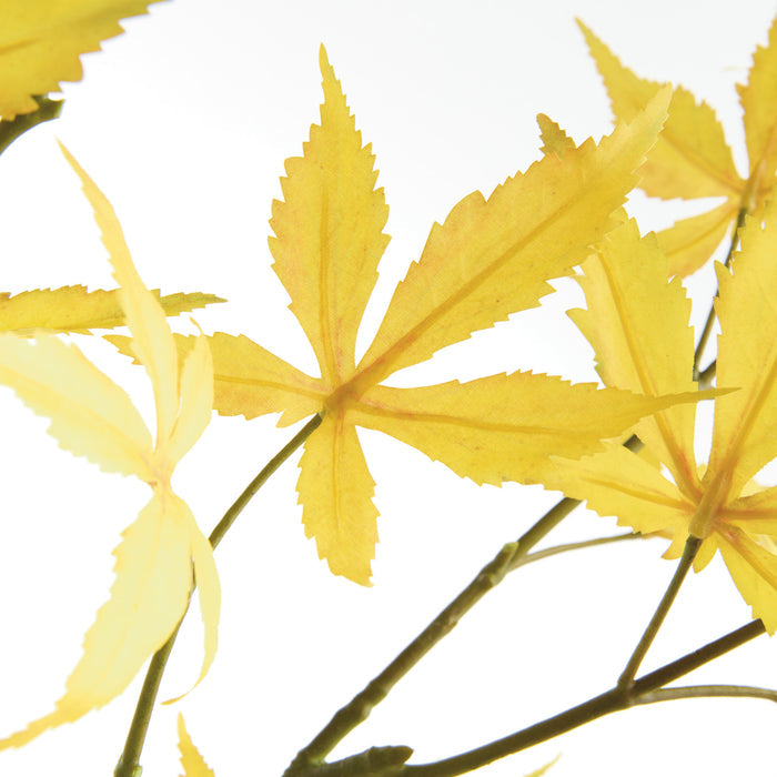 Maple Leaf Branches 41" St/2 - View 3