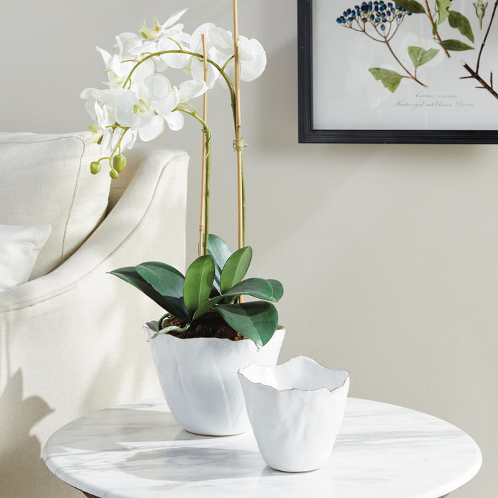 Maribella Cachepots, Set Of 2 - View 4