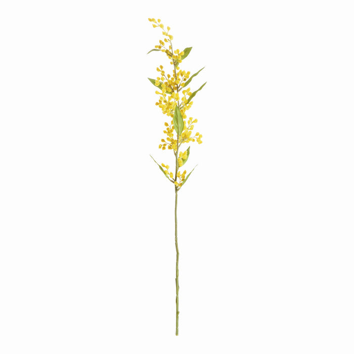 Mimosa Stems 27.5", Set Of 6