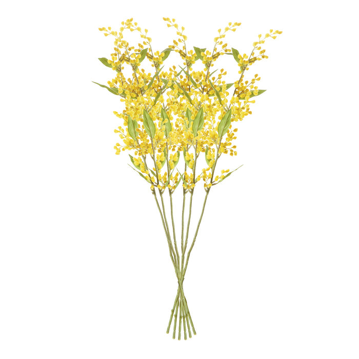 Mimosa Stems 27.5", Set Of 6 - View 3