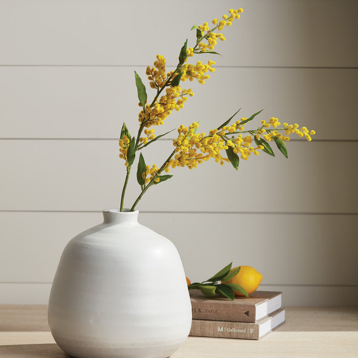 Mimosa Stems 27.5", Set Of 6 - View 4