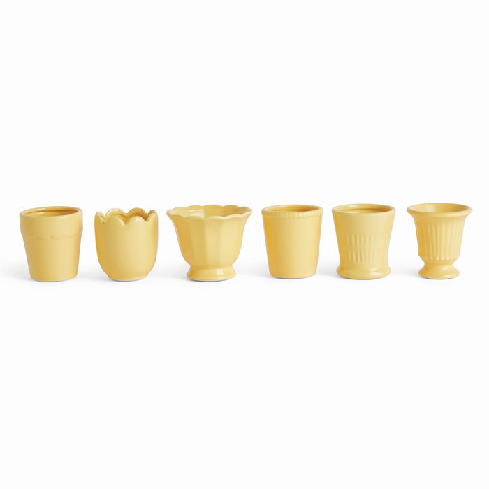 Mirabelle Mini Cachepots, Set Of 6