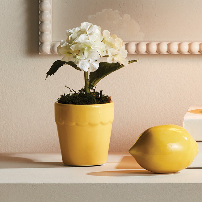 Mirabelle Mini Cachepots, Set Of 6 - View 2