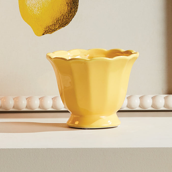 Mirabelle Mini Cachepots, Set Of 6 - View 3