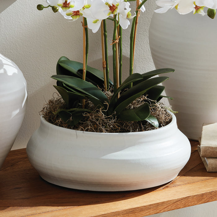 Mirela Decorative Bowl - View 4