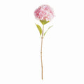 Mophead Hydrangea Stems 30.5", Set Of 4