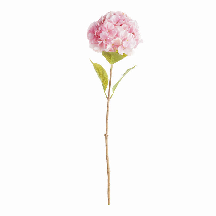 Mophead Hydrangea Stems 30.5", Set Of 4