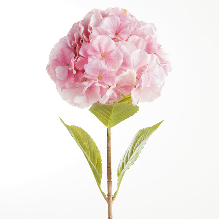 Mophead Hydrangea Stems 30.5", Set Of 4 - View 2