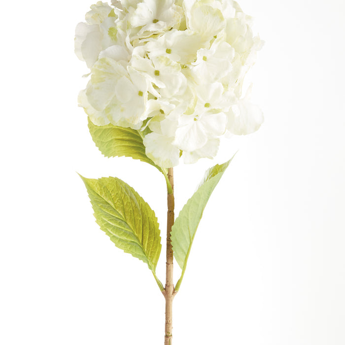 Mophead Hydrangea Stems 30.5", Set Of 4 - View 2