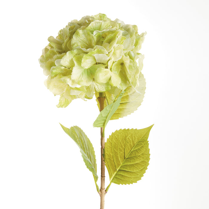 Mophead Hydrangea Stems 30.5", Set Of 4 - View 2