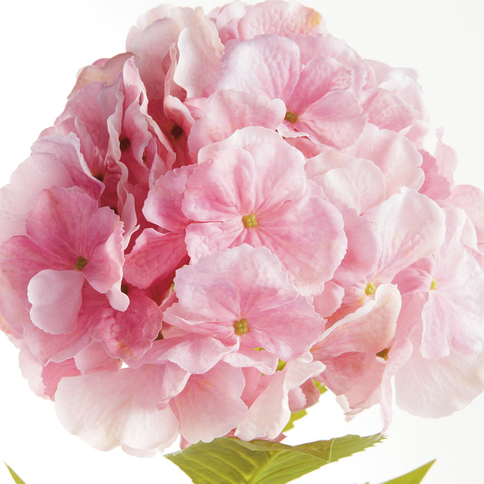 Mophead Hydrangea Stems 30.5", Set Of 4 - View 3