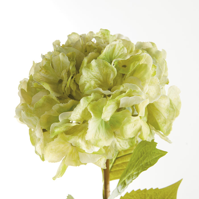 Mophead Hydrangea Stems 30.5", Set Of 4 - View 3