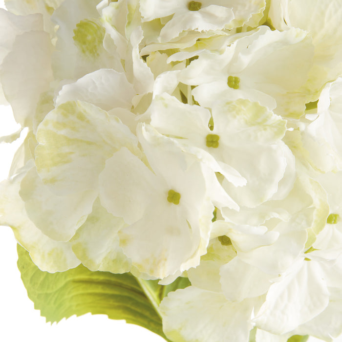 Mophead Hydrangea Stems 30.5", Set Of 4 - View 3