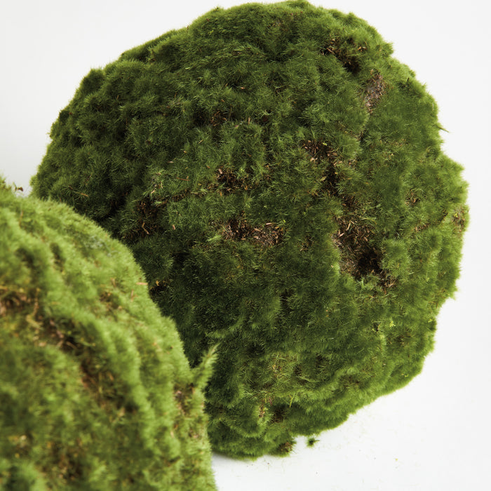 Moss Orbs, Set Of 2 - alternate view 3