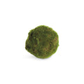 Moss Orbs 4" St/6