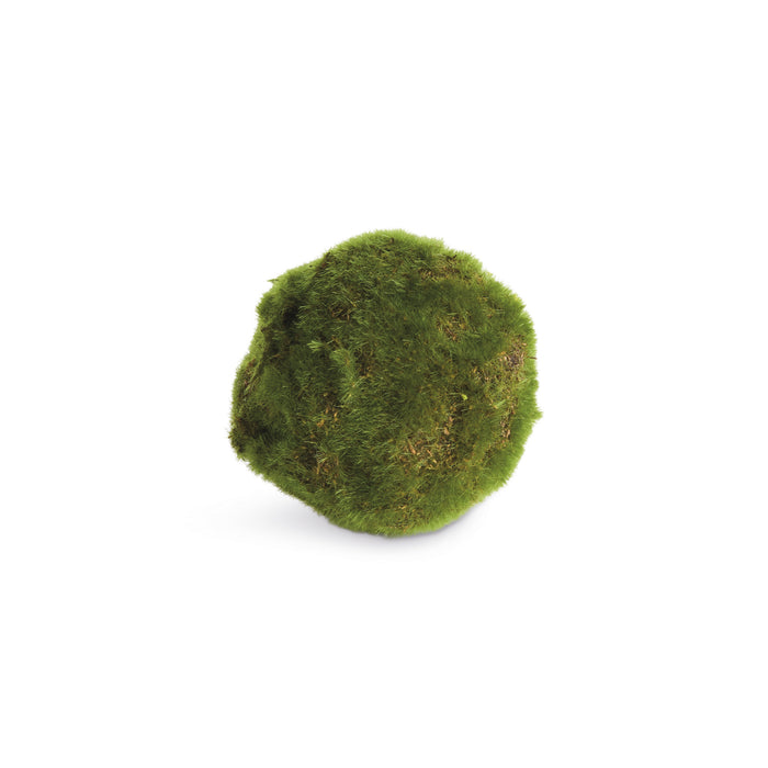 Moss Orbs 4" St/6