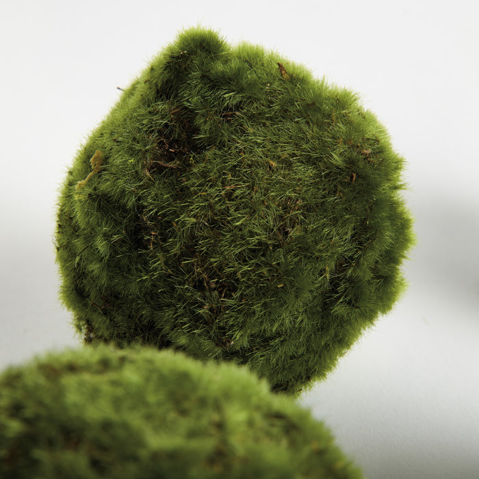 Moss Orbs 4" St/6 - View 5