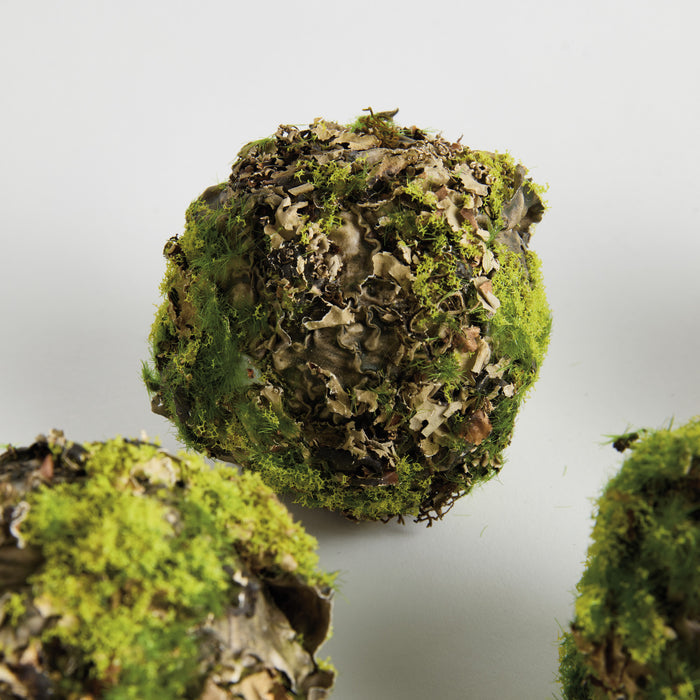 Mossy Lichen Orbs 3.5" St/6 - View 2